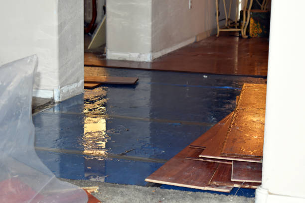 Professional Burst Pipe Cleanup technician working in Bartlett, TX